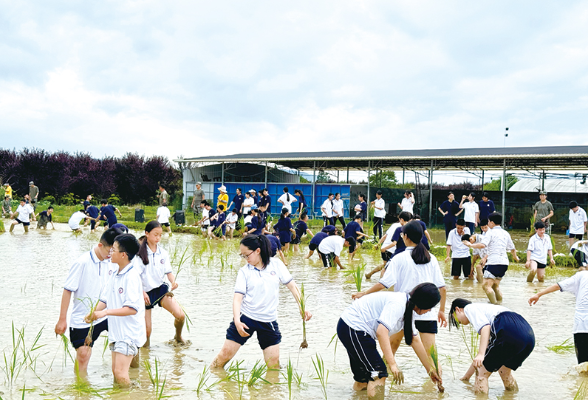 赓续农耕文化 严守耕地红线