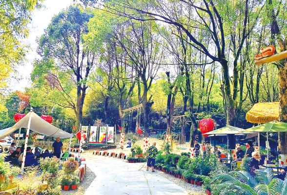 “哈哈公主”罗清，用短视频带货助农