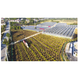 产业活水润沃土——探寻永和镇文明密码系列报道之一