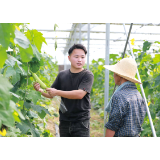 逐梦新乡村丨“00后”大学生返乡种菜，菜畦间解开共富密码