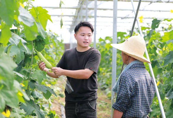 逐梦新乡村丨“00后”大学生返乡种菜，菜畦间解开共富密码