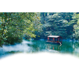 党建红引领生态绿，小山村蝶变“百万村”