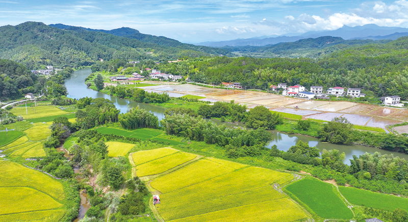 06版时政镇村-3.jpg