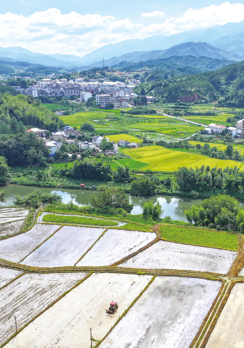 01版封面-10.jpg