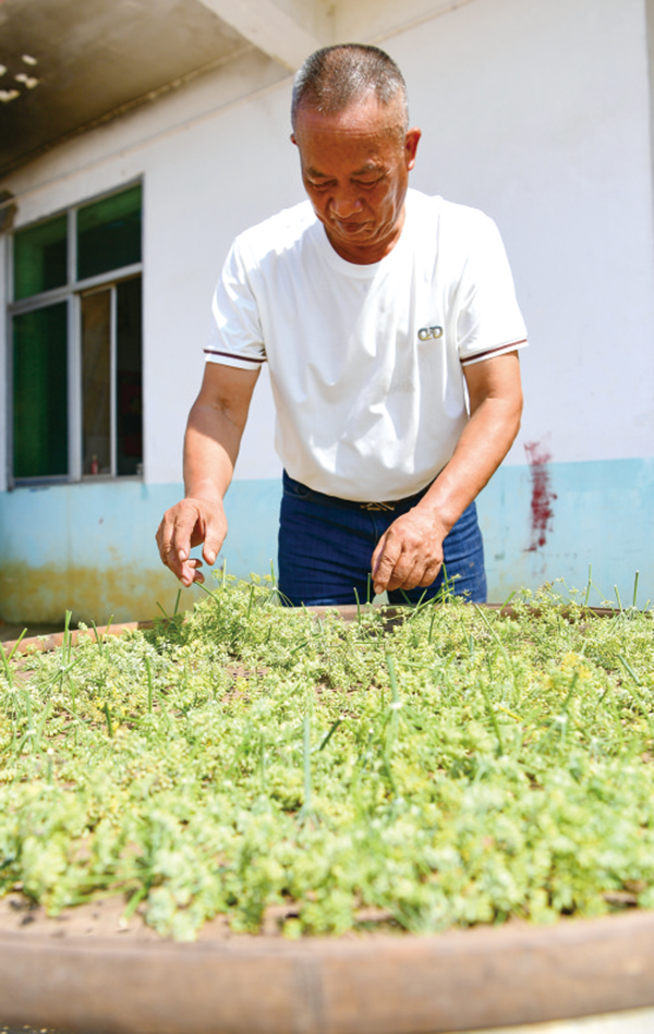 05版民生镜头-4.jpg