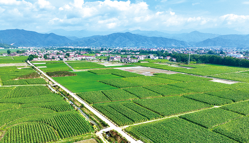 05版时政镇村-5.jpg