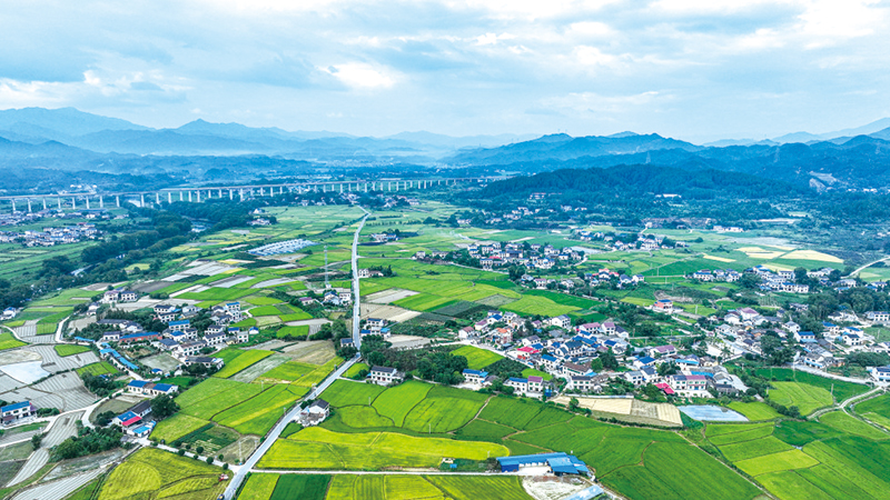 03版深度-3.jpg