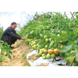 浏阳入选2025年度省级现代农业产业园项目名单