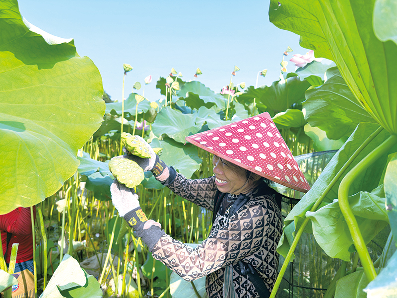03版镇村-3.jpg