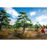 花木小镇“焕新记”