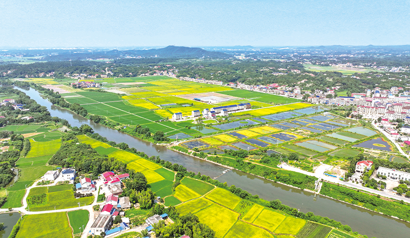 04、05版民生镜头-4.jpg