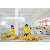 48名烟叶分级队员同台比拼