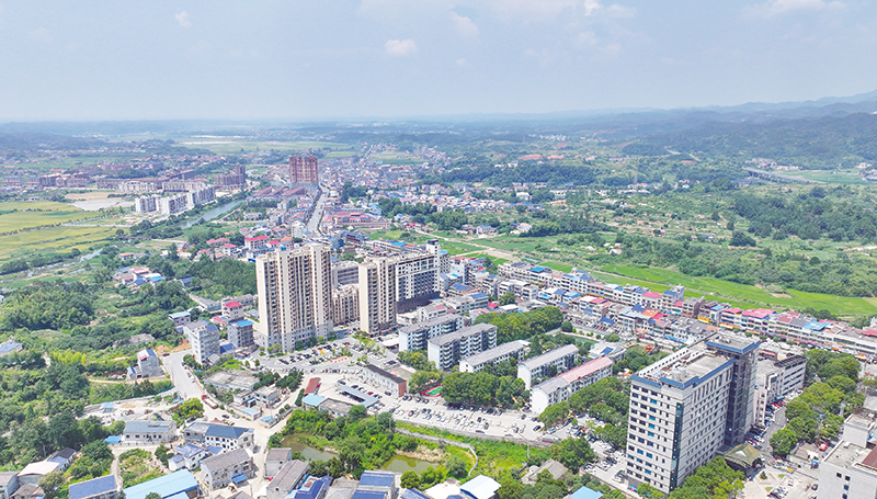 06版高水平-3.jpg