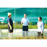 枨冲镇才常村党总支书记、村委会主任陈庆湘：探索“稻蛙”生态种养，蹚出强村富民新路径