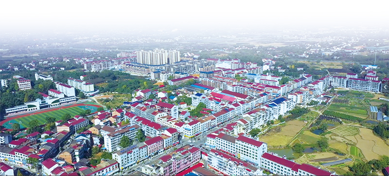 03版县域经济-1.jpg