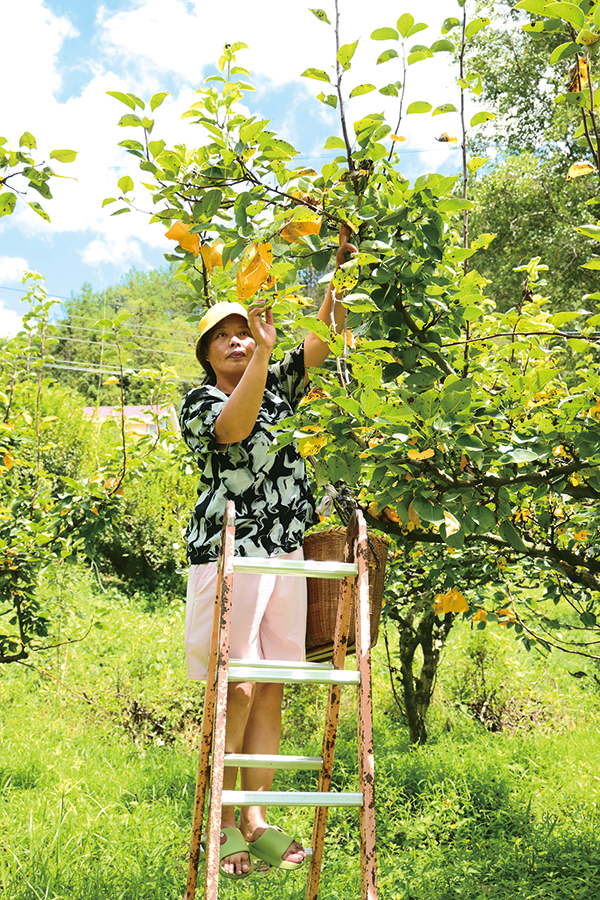 03版镇村-3.jpg
