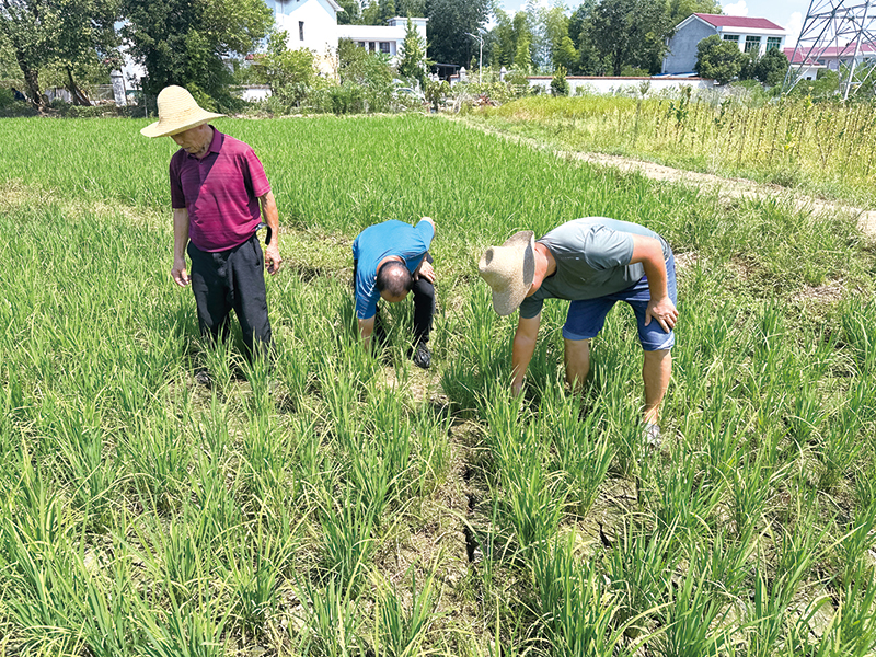 05版民生资讯-3.jpg