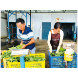 最是一年好丰景丨沿溪镇：“智慧农业”催生四季丰登