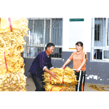 最是一年好丰景丨沙市镇：“规模种植”实现双产双丰