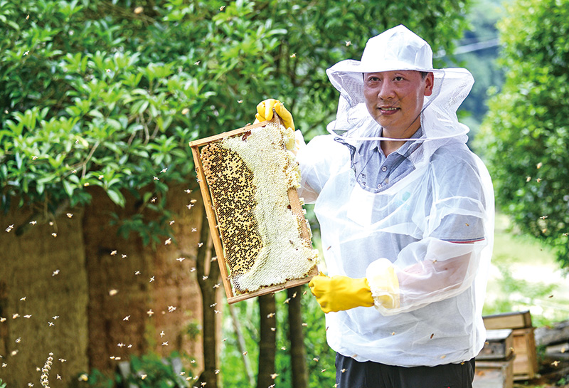 04、05版大围山-5.jpg 04、05版大围山-5.jpg