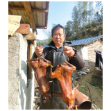 辞工返乡养黑兔 巧打时间差 年赚十余万