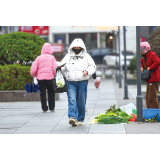 冰冻雨雪天气来袭