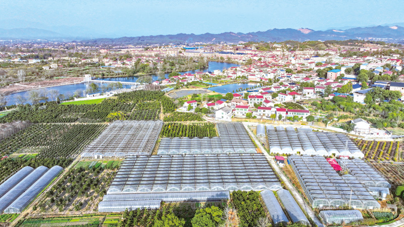 04、05版勇挑大梁-6.jpg 04、05版勇挑大梁-6.jpg