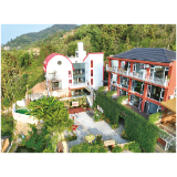 推进烟花出海 深化馆镇融合 以大镇担当勇挑发展大梁