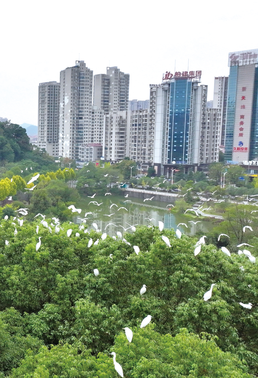 01版时政封面-1.jpg
