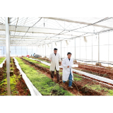 “企业+基地+农户”一体化发展 实现三方共赢