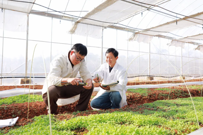 QQ浏览器截图20260210153750.png QQ浏览器截图20260210153750.png