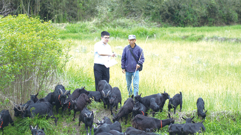 04、05版农商行-3.jpg 04、05版农商行-3.jpg