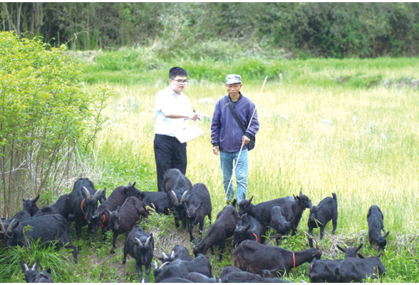 存款突破700亿元的“农商答卷”