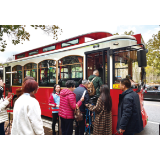 “烟花夜巴士”串起流动风景线