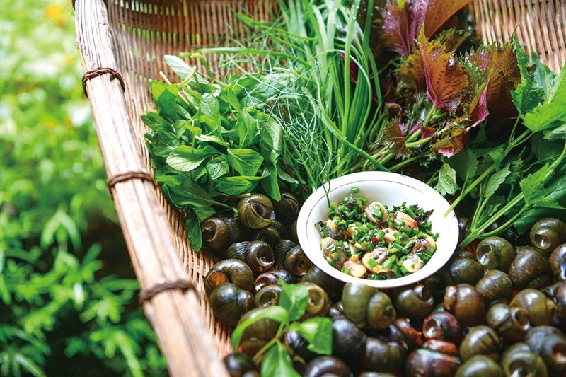 07版官渡-2.jpg 07版官渡-2.jpg