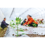 奋进田野上 耕耘新希望