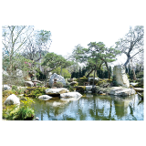 柏加镇：守住绿心闯新路，百年花木产业“发新芽”