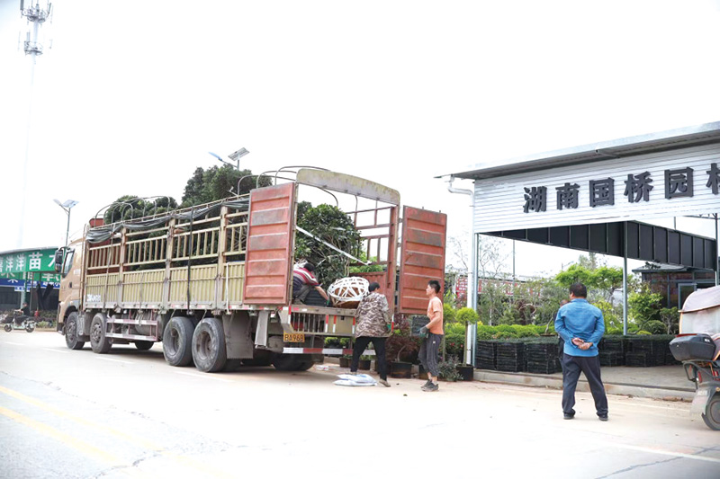 03版深度-3.jpg 03版深度-3.jpg