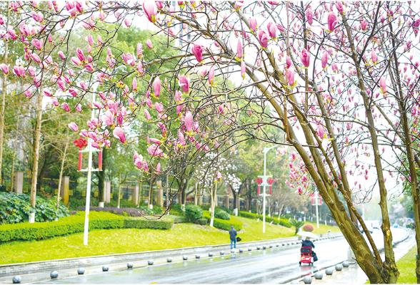 浏阳阴雨天将持续40天？
