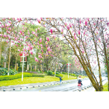 浏阳阴雨天将持续40天？