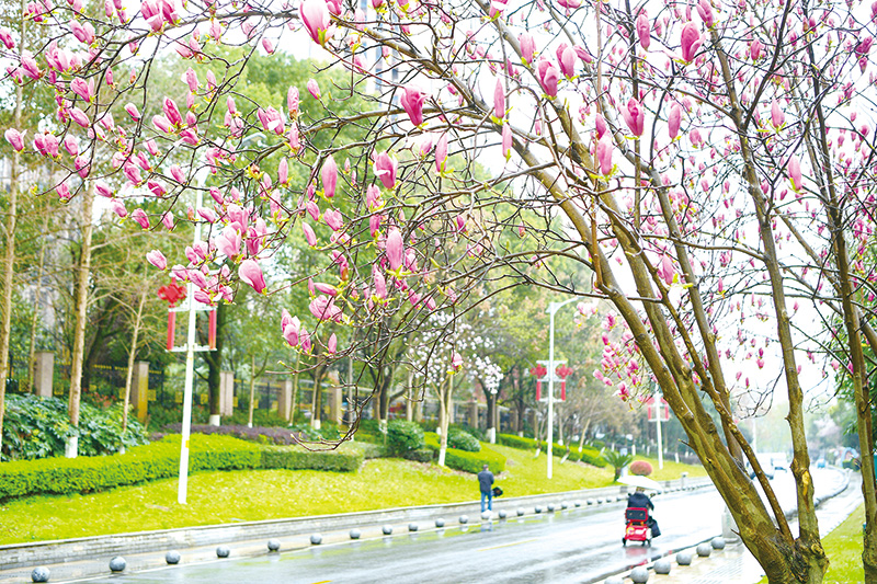 06版资讯-2.jpg 06版资讯-2.jpg