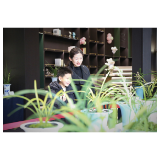 以兰会友,百盆珍品春日竞秀