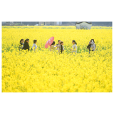 提振消费 “浏”向新动能