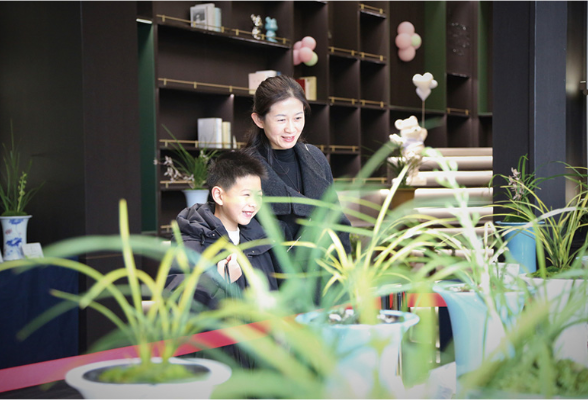 以兰会友，百盆珍品春日竞秀