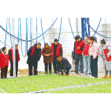 浏阳以党员冬春训凝聚高质量发展“红色动能”