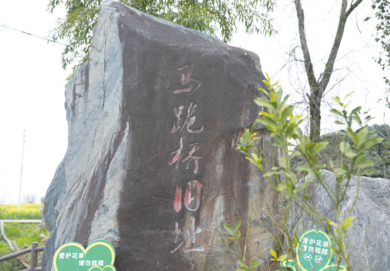 06版北盛-2.jpg 06版北盛-2.jpg