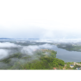 沙市镇赤马村：沃野绘振兴 赤马展宏图