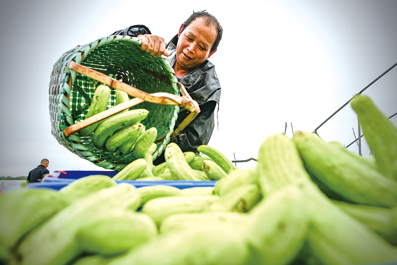 03版浏阳好物-7.jpg 03版浏阳好物-7.jpg