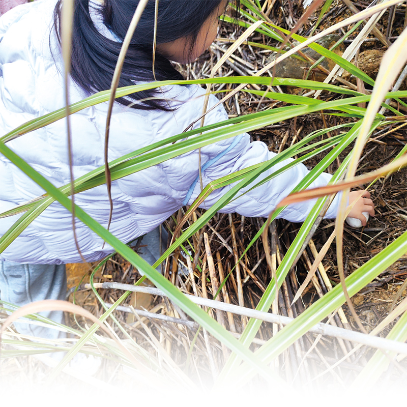 05版民生资讯-2.jpg 05版民生资讯-2.jpg