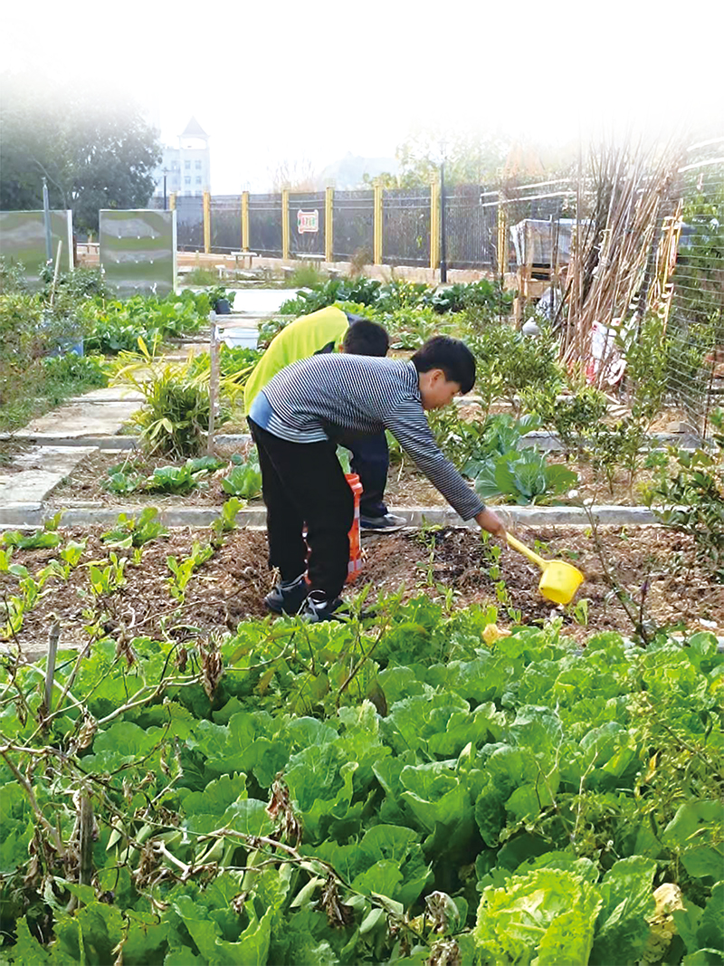 05版民生资讯-3.jpg 05版民生资讯-3.jpg